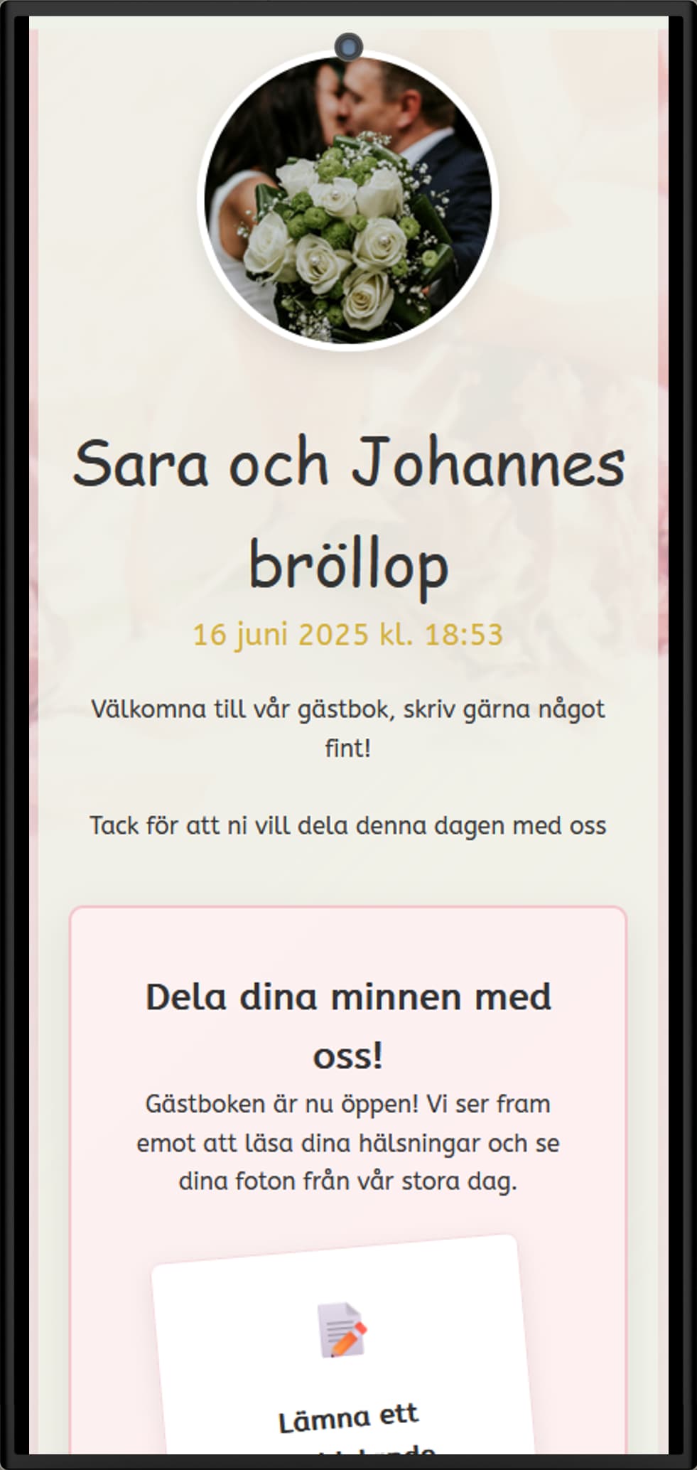 Demo skärmbild 1